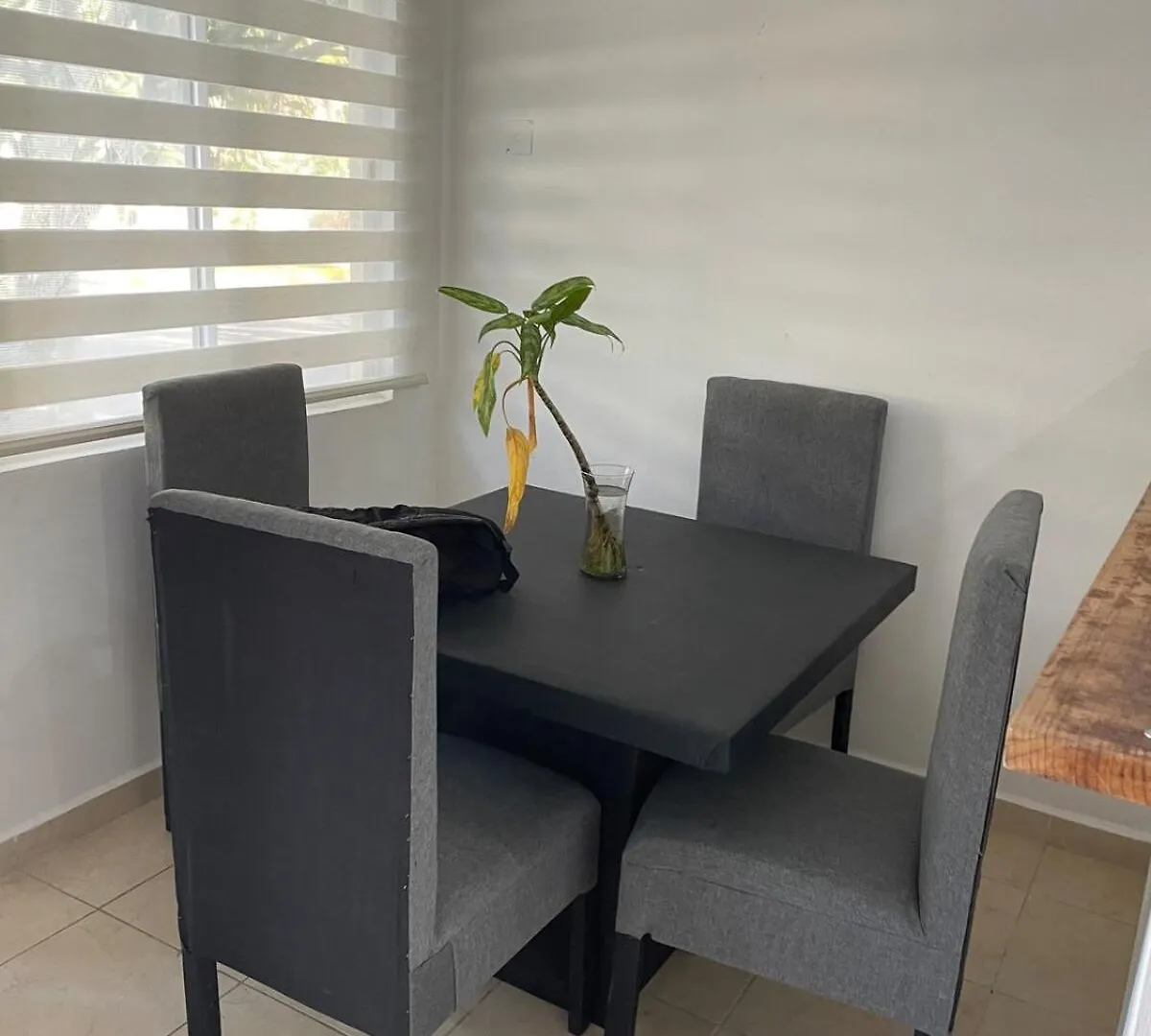 Villa Real Ibiza Playa del Carmen